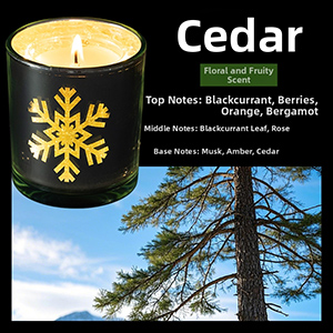 Cedar