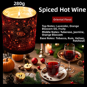 Spiced Hot Wine